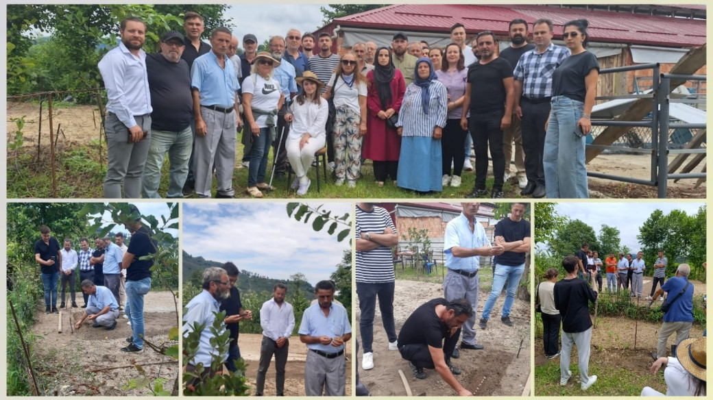 Giresun’da Salep Yetiştiriciliği Yaygınlaşıyor